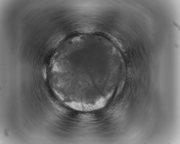 X0000096160069200802081443