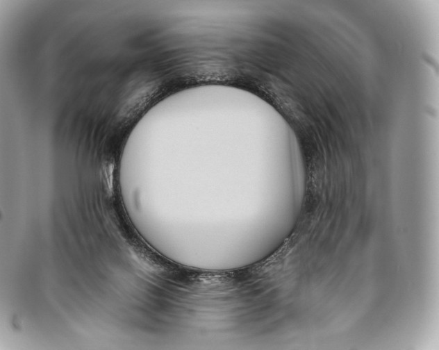 X0000096160070200802081443