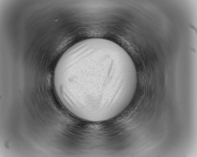 X0000096160071200802081443