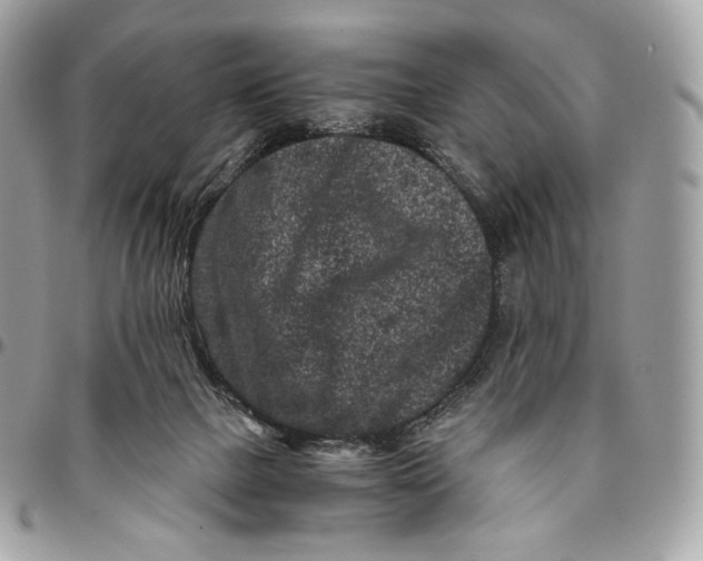 X0000096160073200802081443