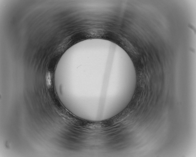 X0000096160075200802081443