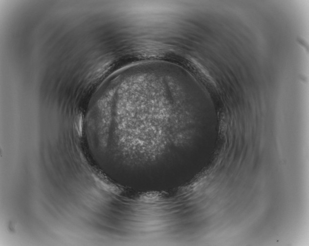 X0000096160076200802081443