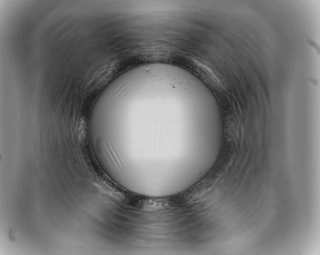 X0000096160077200802081443