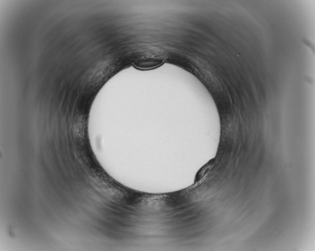 X0000096160078200802081443