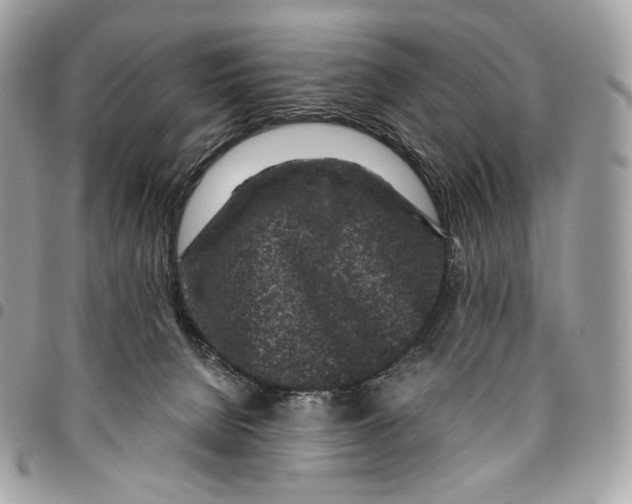 X0000096160080200802081443