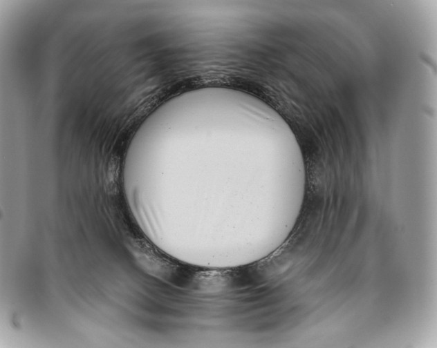 X0000096160082200802081444