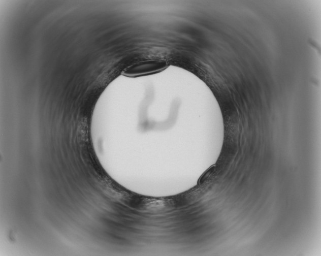 X0000096160083200802081444