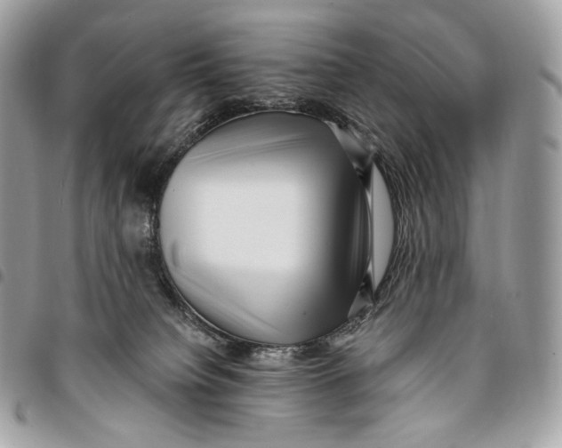 X0000096160084200802081444