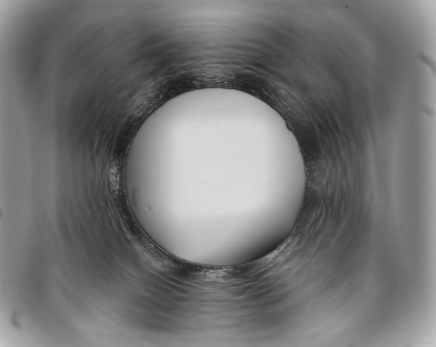 X0000096160086200802081444