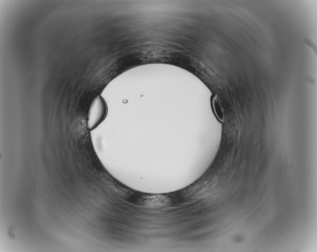 X0000096160087200802081444