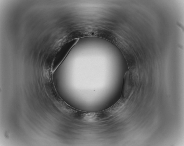 X0000096160088200802081444