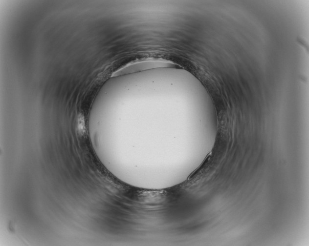 X0000096160089200802081444