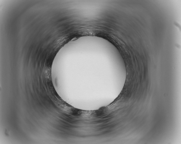 X0000096160096200802081444