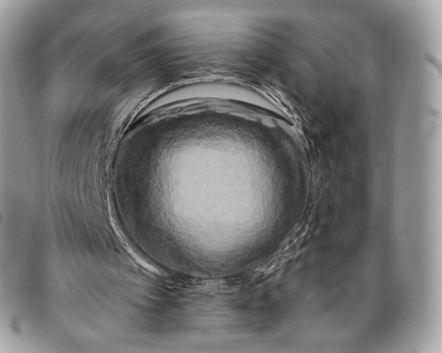 X0000096160097200802081443