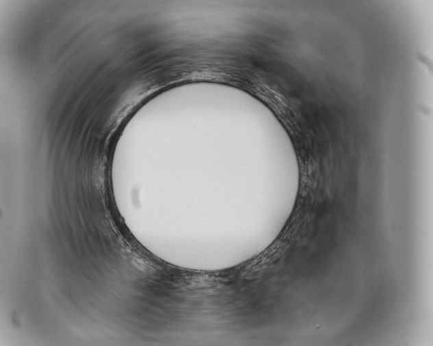 X0000096160098200802081443