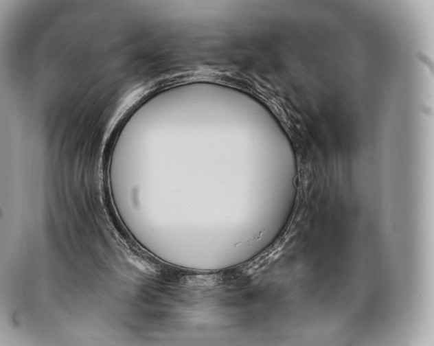 X0000096160102200802081443