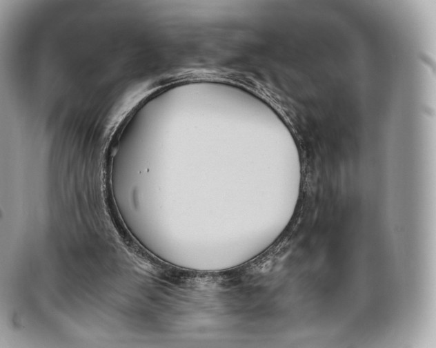 X0000096160103200802081443