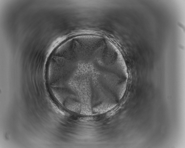 X0000096160104200802081443