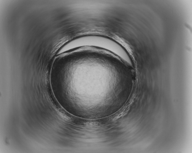 X0000096160105200802081443