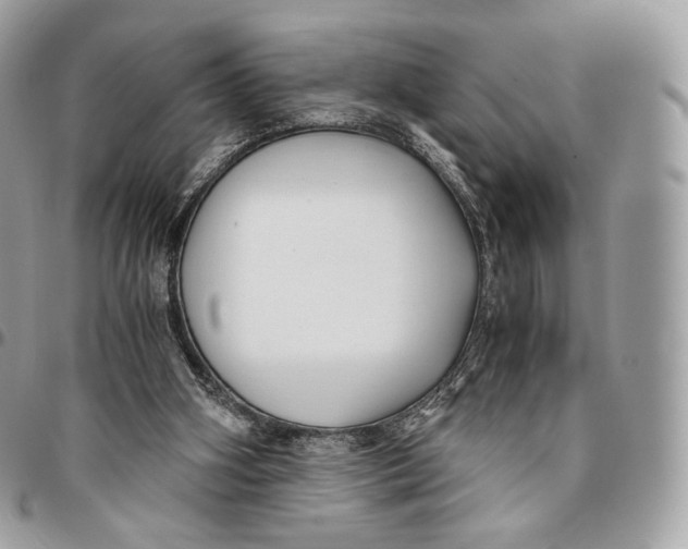 X0000096160106200802081443