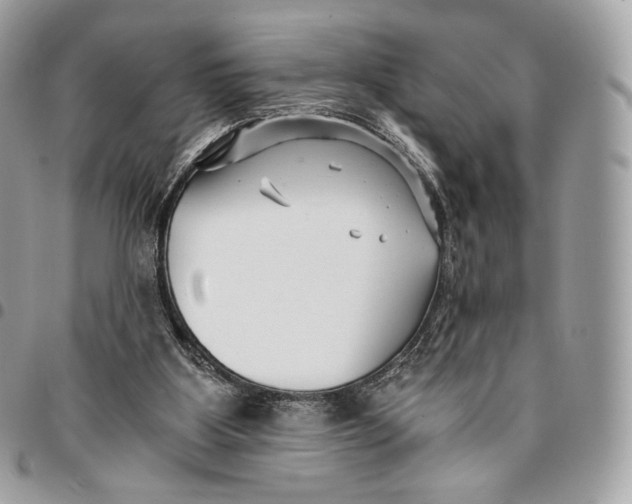 X0000096160107200802081443