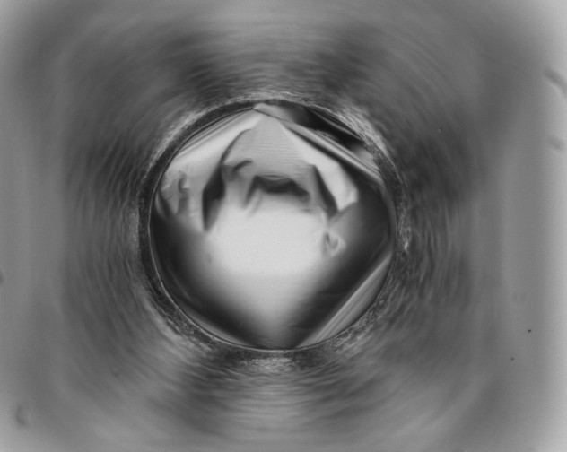 X0000096160108200802081443