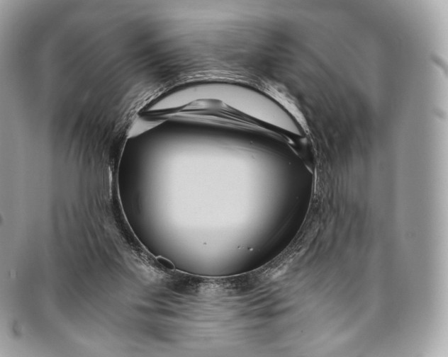 X0000096160109200802081443