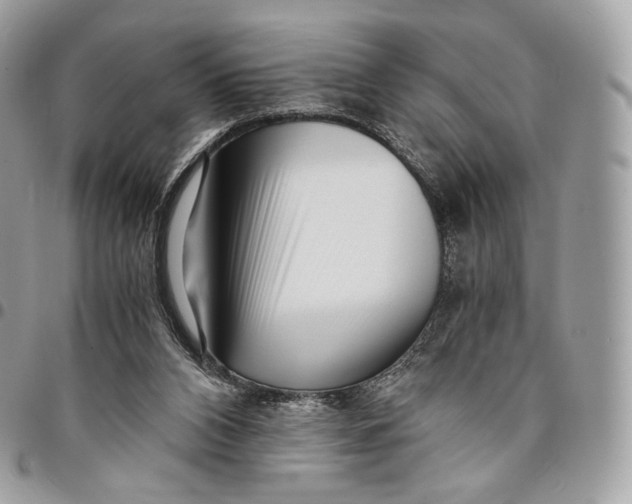 X0000096160112200802081443