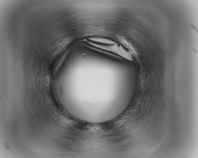 X0000096160113200802081443