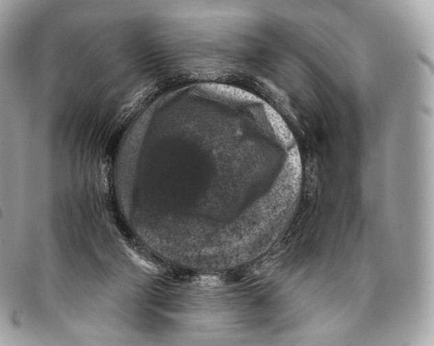 X0000096160114200802081443