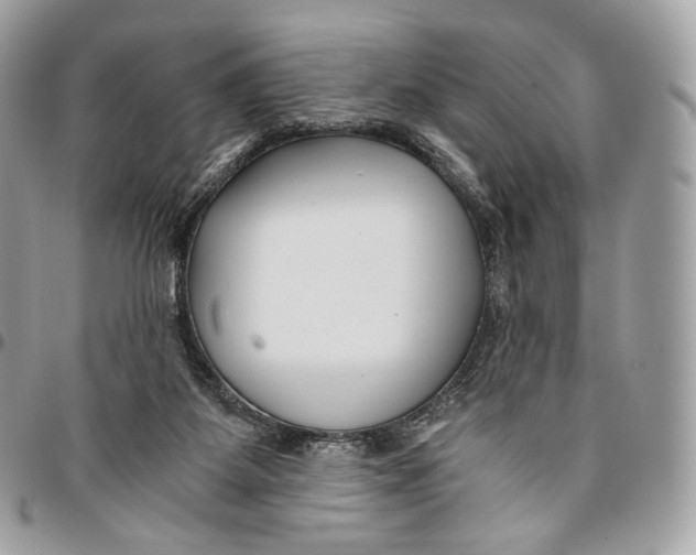 X0000096160115200802081443