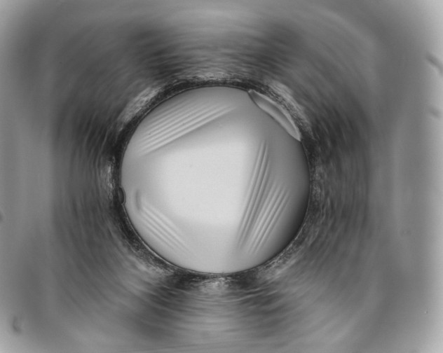 X0000096160116200802081443