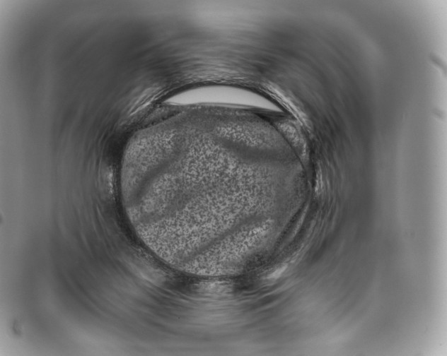 X0000096160117200802081443