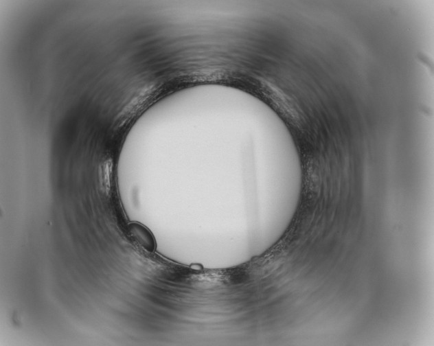 X0000096160118200802081443