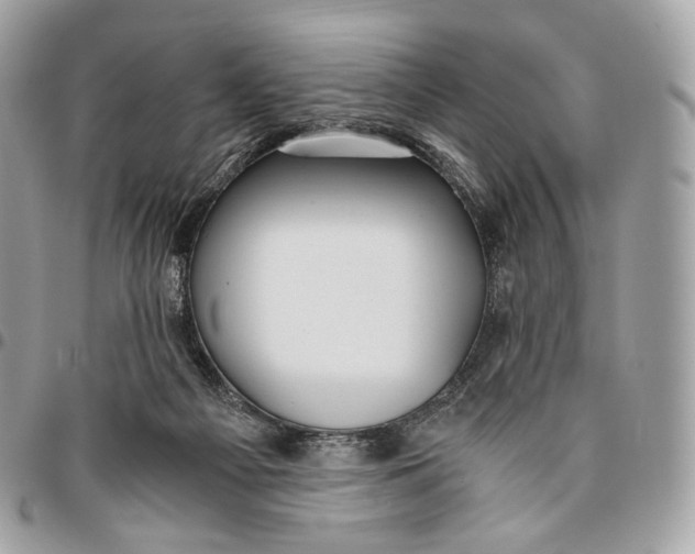 X0000096160121200802081443