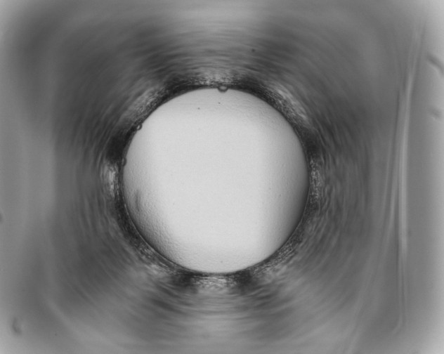 X0000096160123200802081443