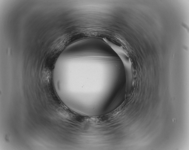 X0000096160125200802081443