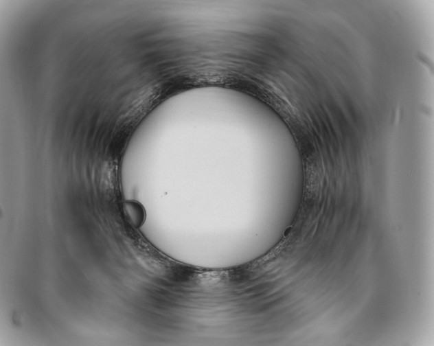 X0000096160126200802081443