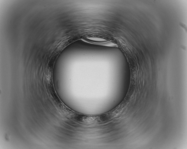 X0000096160129200802081443