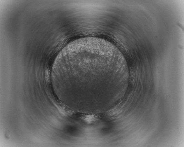 X0000096160130200802081443