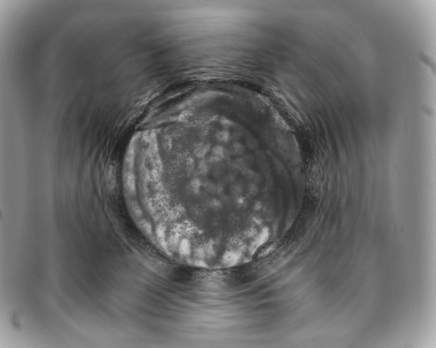 X0000096160131200802081443