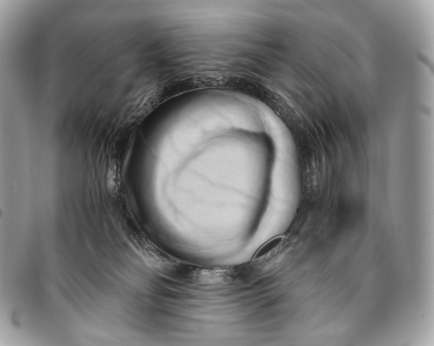 X0000096160134200802081443