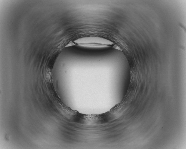 X0000096160141200802081442