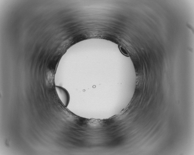 X0000096160142200802081442