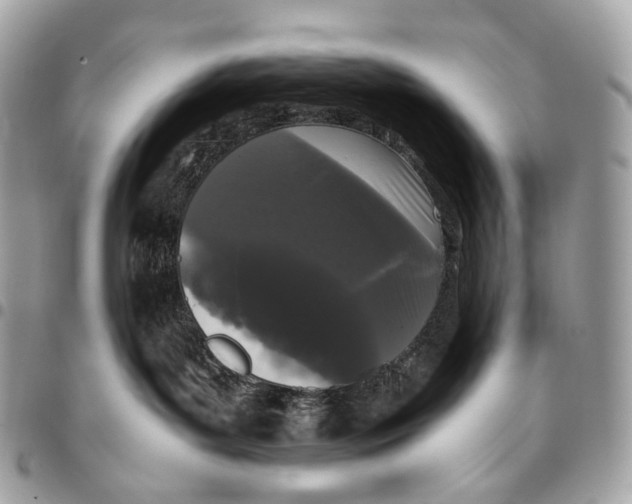 X0000096160143200802081442