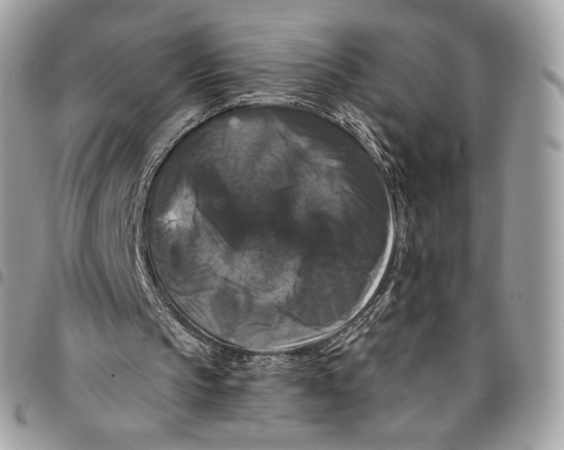 X0000096160145200802081442