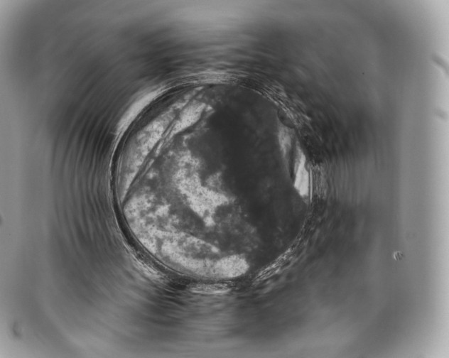 X0000096160147200802081442