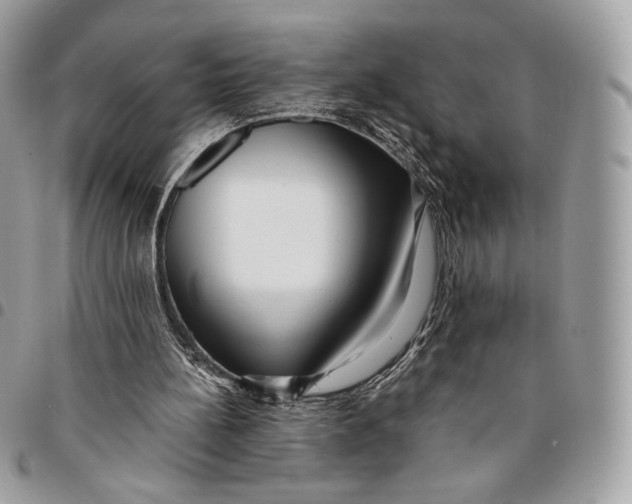 X0000096160148200802081442