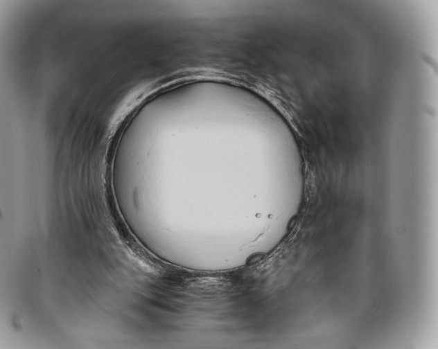 X0000096160151200802081442