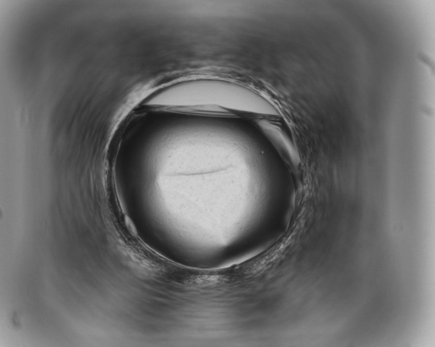 X0000096160152200802081442